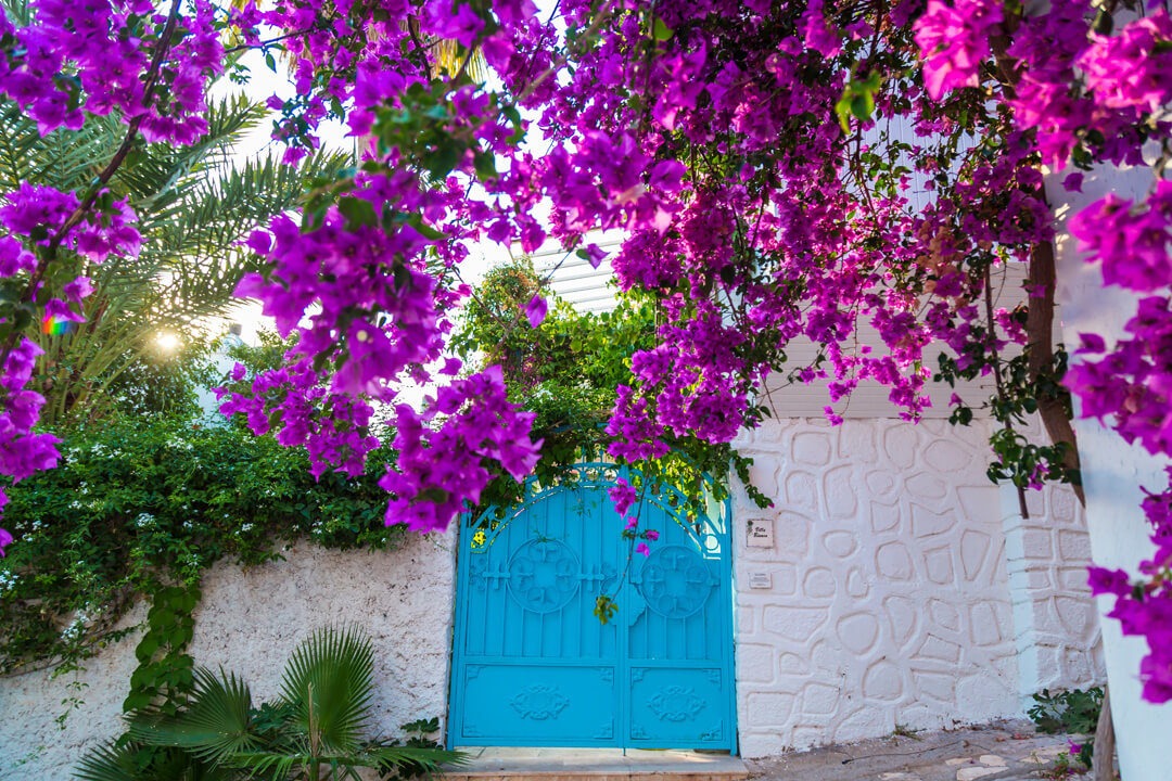 Günümüzde Kalkan
