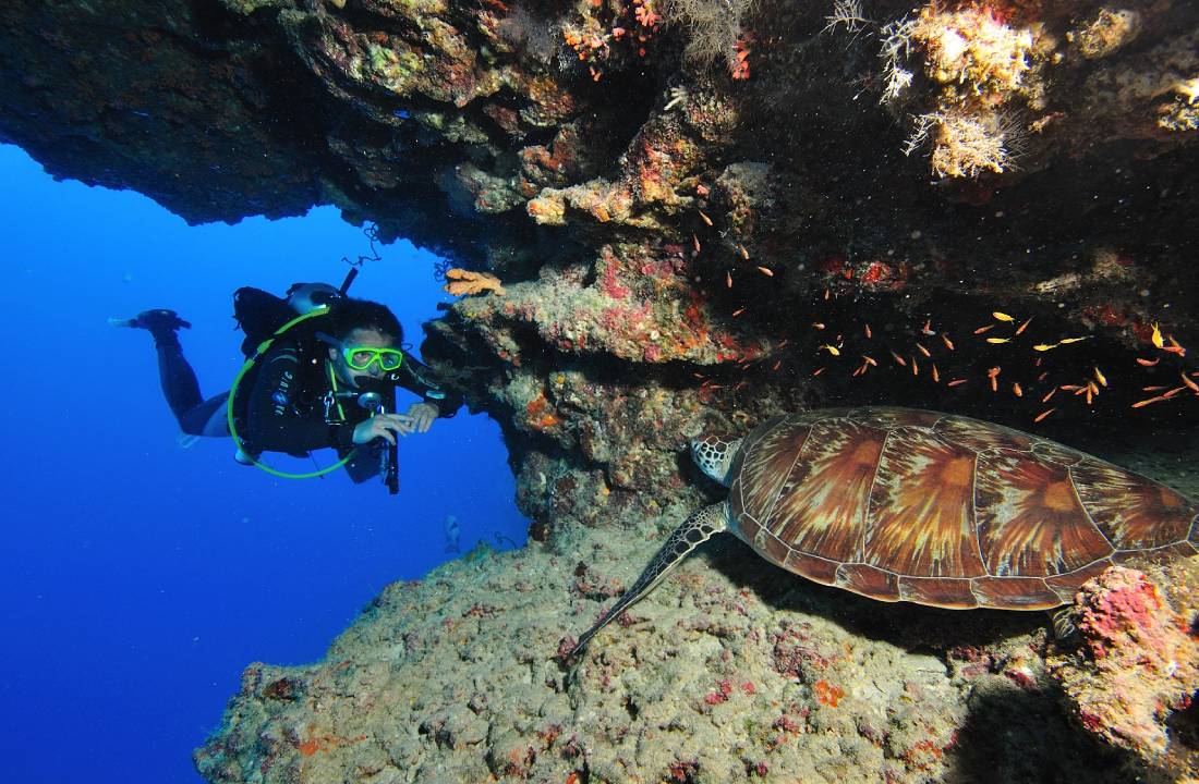 Diving & Water Sports